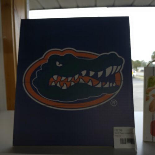 12x13 Team Logo
Florida Gators